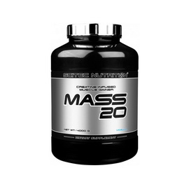Mass 20 (4 kg)