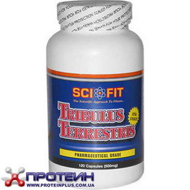 Tribulus 500 g (120 caps)