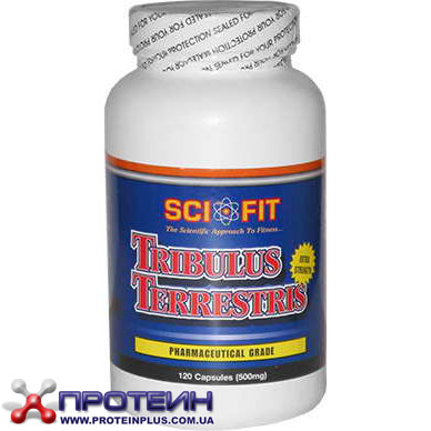 Tribulus 500 g (120 caps) Tribulus 500 g (120 caps)