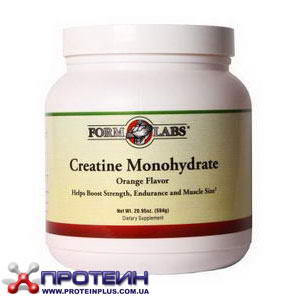 Creatine (594 g) Creatine (594 g)