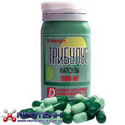 Tribulus 500 mg (30 caps) Tribulus 500 mg (30 caps)