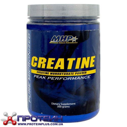 Creatine (300 g) Creatine (300 g)