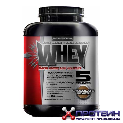 Whey Protein (2.2 kg) Whey Protein (2.2 kg)
