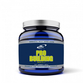 Pro Building (500 g)