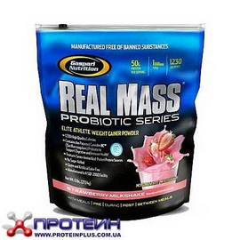 Real Mass Probiotic (2,7 kg)