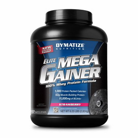 Elite Mega Gainer (2.9 kg)