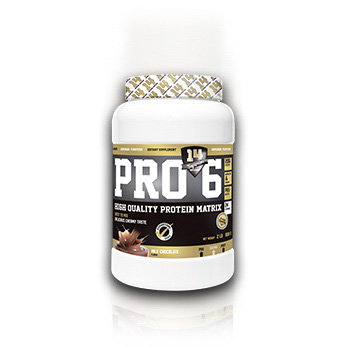 PRO 6 (908 g) PRO 6 (908 g)