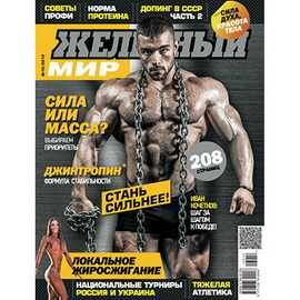 Журнал «Железный Мир» № 12/2013