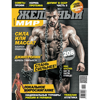 Журнал «Железный Мир» № 12/2013 Журнал «Железный Мир» № 12/2013