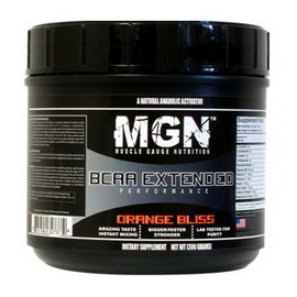 BCAA XP (390 g)