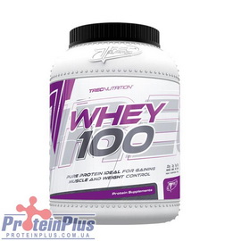 Whey 100 (600 g)