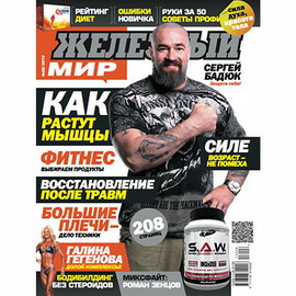 Журнал «Железный Мир» № 06/2013