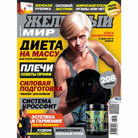 Журнал «Железный Мир» № 07/2013