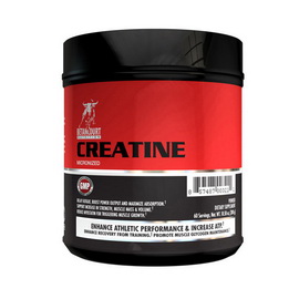 Creatine Micronized (525 g)