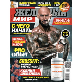 Журнал «Железный Мир» № 07/2015