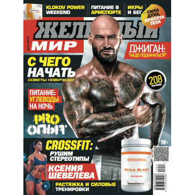 Журнал «Железный Мир» № 07/2015 Журнал «Железный Мир» № 07/2015