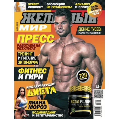 Журнал «Железный Мир» № 08/2015 Журнал «Железный Мир» № 08/2015