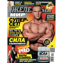 Журнал «Железный Мир» № 11/2015