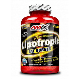 Lipotropic Fat Burner (200 caps)