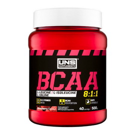 BCAA 8:1:1 (500 g)