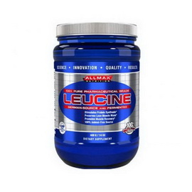 Leucine (400 g)