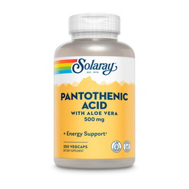 Pantothenic Acid 500 mg (250 veg caps)