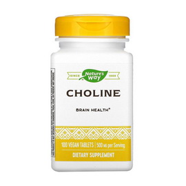 Choline 500 mg (100 veg caps)
