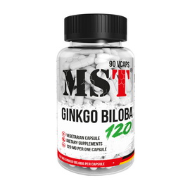 Ginkgo Biloba 120 mg (90 veg caps)
