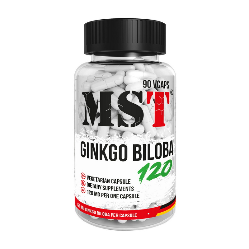 Ginkgo Biloba 120 mg (90 veg caps) Ginkgo Biloba 120 mg (90 veg caps)