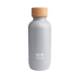 EcoBottle Gray (650 ml)