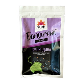 Slim Raw Bar Смородина (1 x 40 g)
