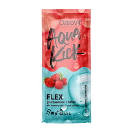 Aqua Kick Flex (1 x 10 g)