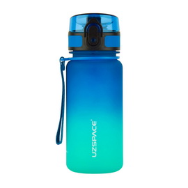 Frosted Gradient Waterbottle 3034 Blue/Green (350 ml)