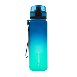 Frosted Gradient Waterbottle 3026 Blue/Green (500 ml)