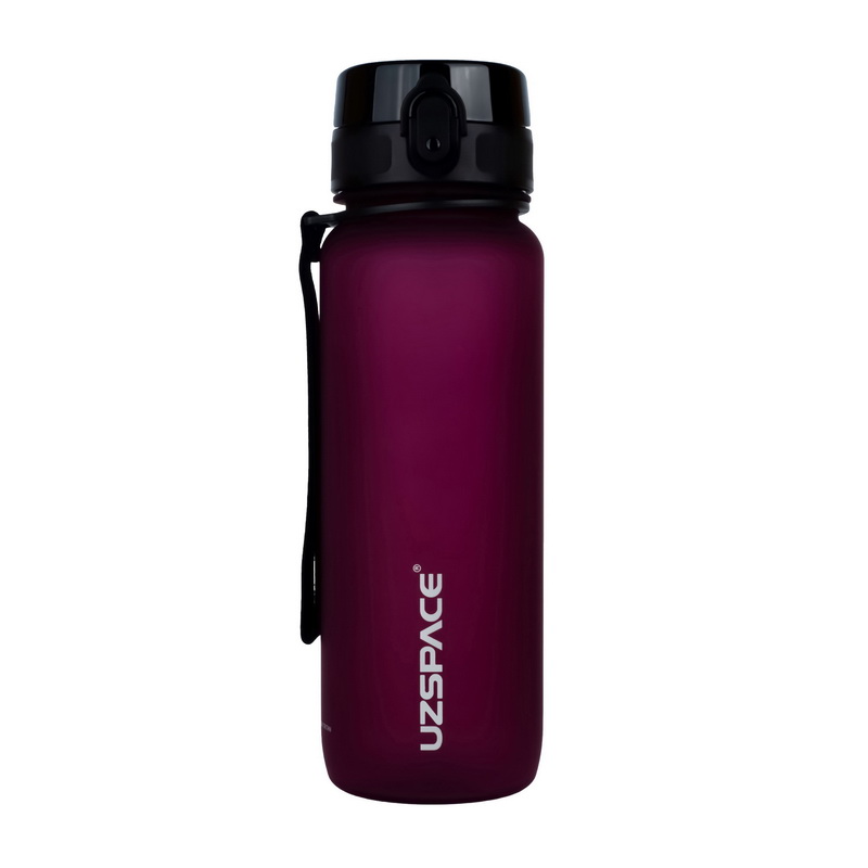 Frosted Tamish Waterbottle 3053 Purplish Red (800 ml) Frosted Tamish Waterbottle 3053 Purplish Red (800 ml)