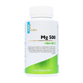 Mg 500 + B6 + B12 (120 tabs)