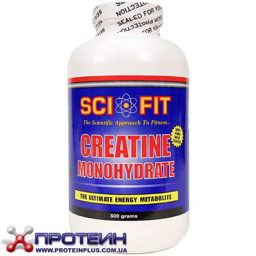 Creatine (500 g) Creatine (500 g)