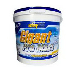 Whey Line GIGANT PRO MASS (5000 g) Whey Line GIGANT PRO MASS (5000 g)