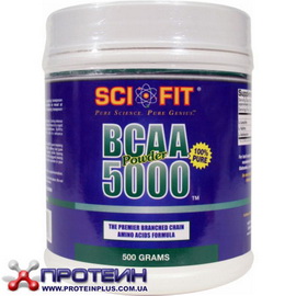 BCAA powder 5000 (300 g)
