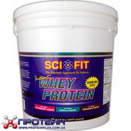 Instant Whey Protein (2,27 kg)