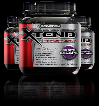 banner-xtend