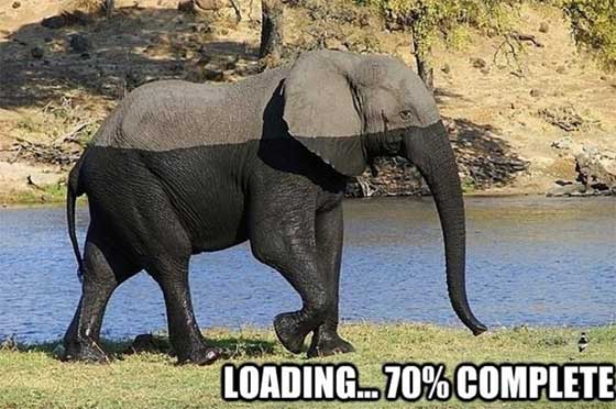 loading