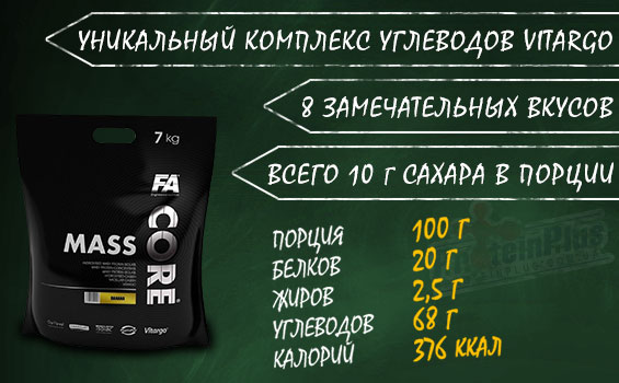 FA Mass Core FA Mass Core
