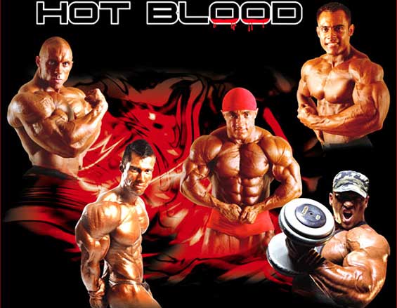 hot-blood-scitec