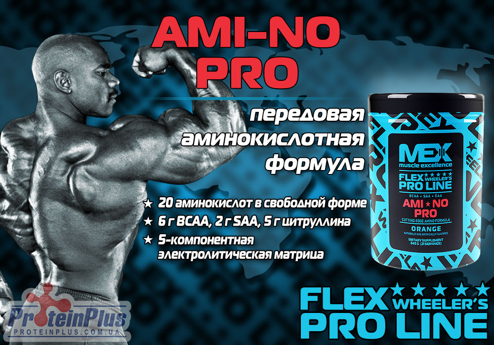 MEX Ami-no Pro