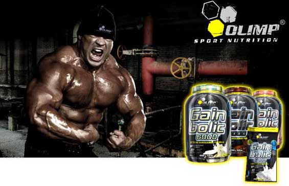 Gain Bolic 6000